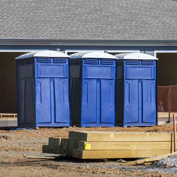 do you offer hand sanitizer dispensers inside the portable restrooms in Salfordville